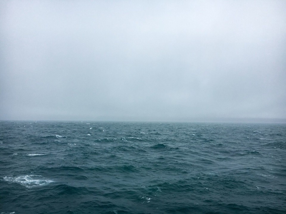Neuseeland - Picton - 