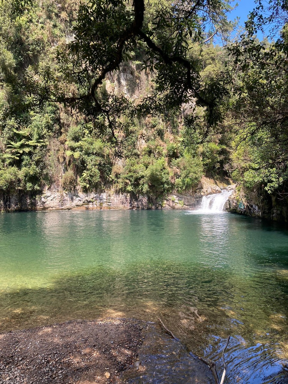 Neuseeland - Te Puke - Ausflug zu den Raparapahoe Falls 😃