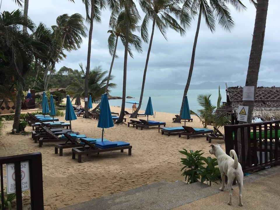 Thailand - Koh Samui - 