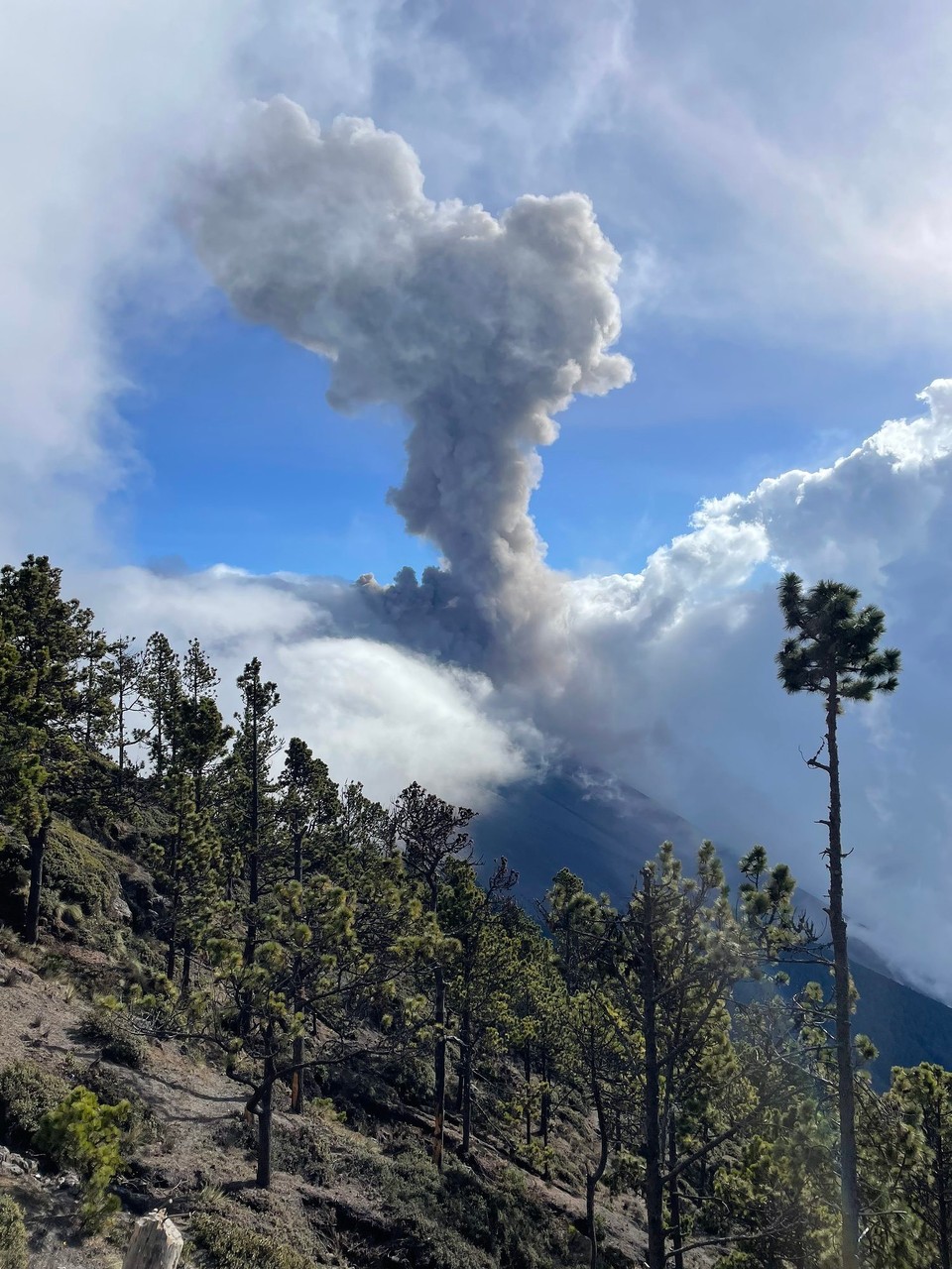 Guatemala - Acatenango - Angekommen - und direkt eine Aschewolke über dem Vulkan beobachten können 