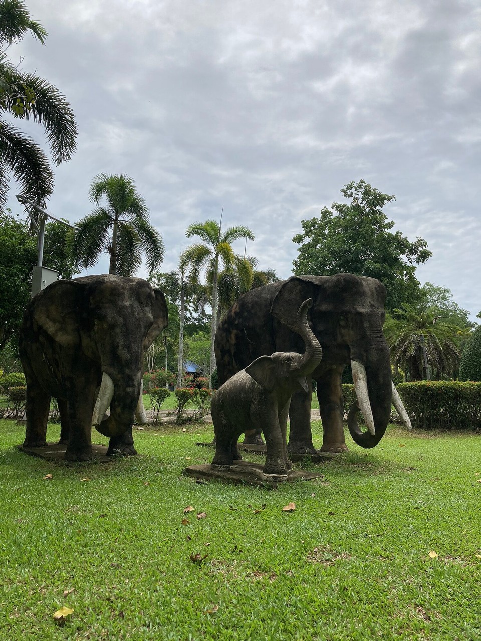 Thailand - Mueang Chumphon - 