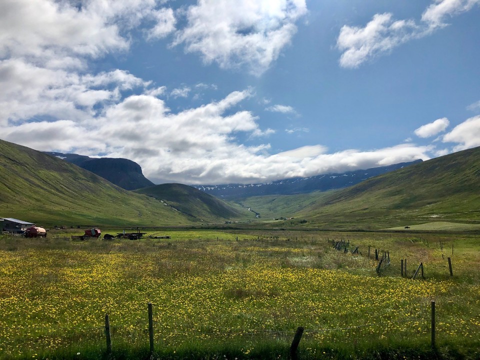 Island - Ísafjarðarbær - Cool, diese Landschaft nun einmal live und mit eigenen Augen sehen zu können...🥰🥰