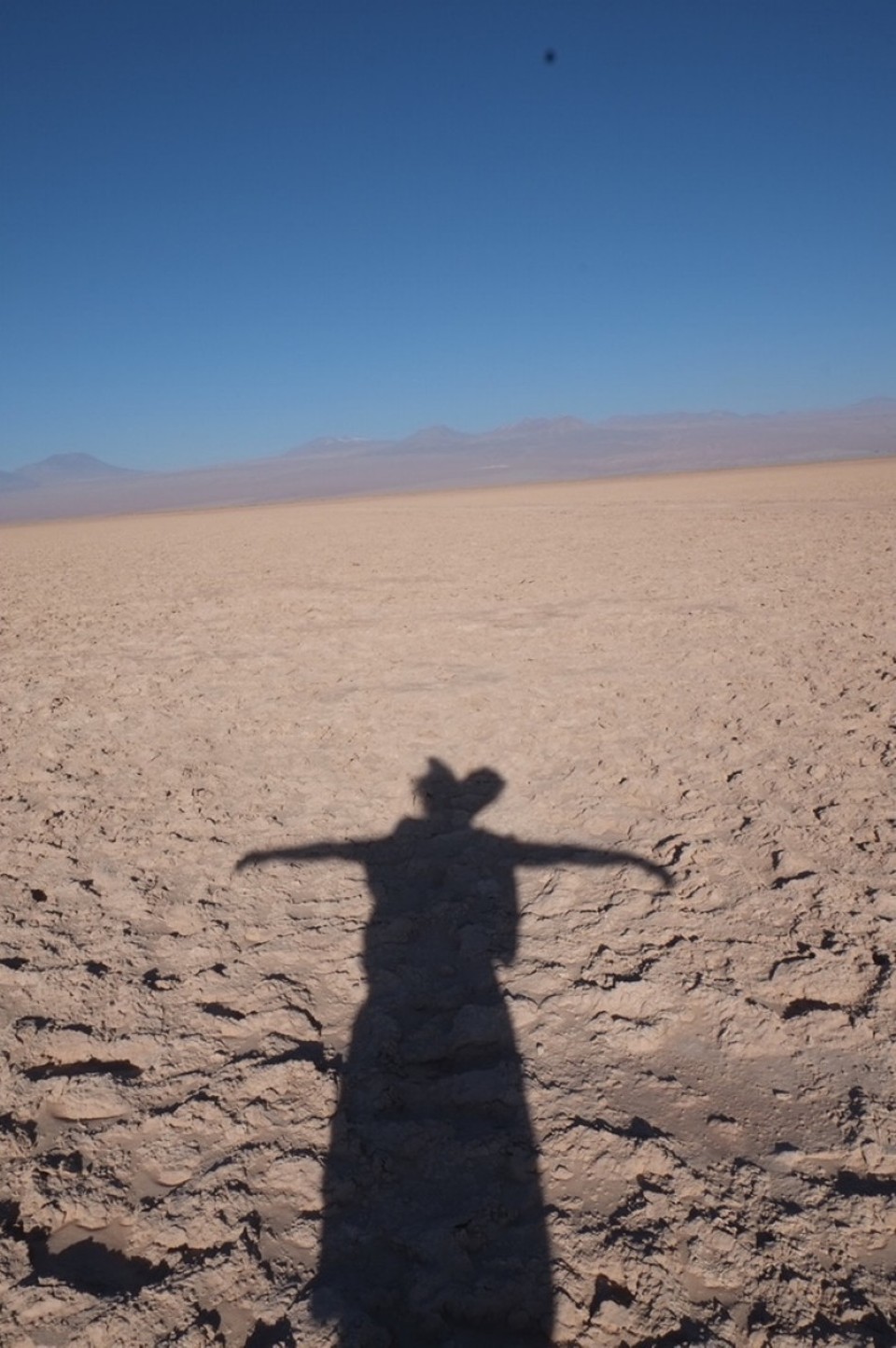 Chile - San Pedro de Atacama - 