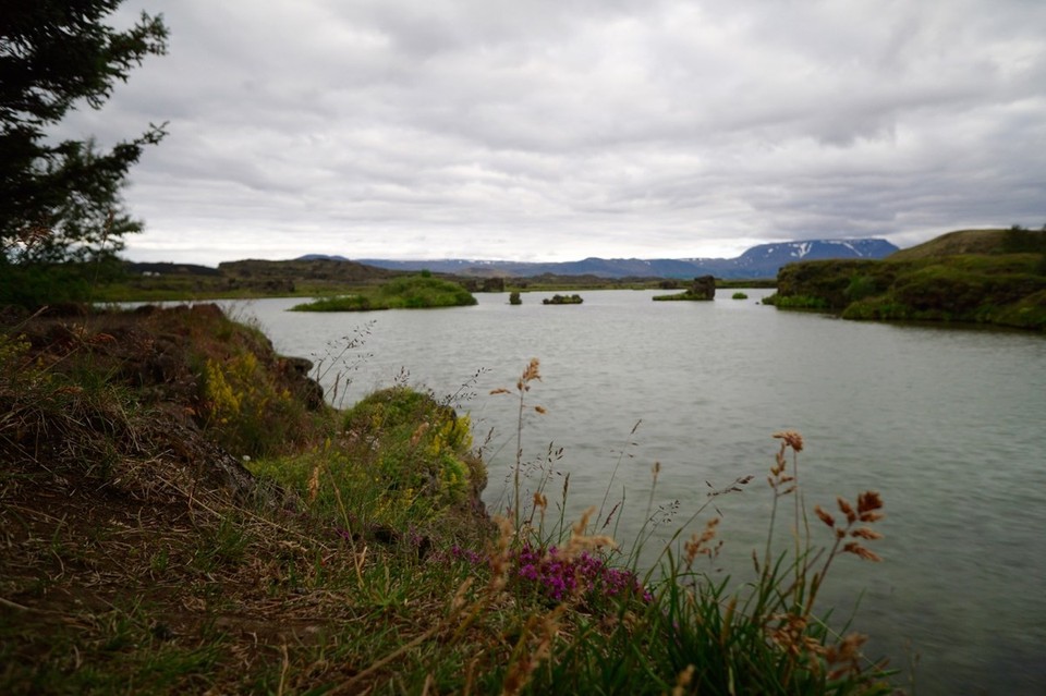 Island - Mývatn - 