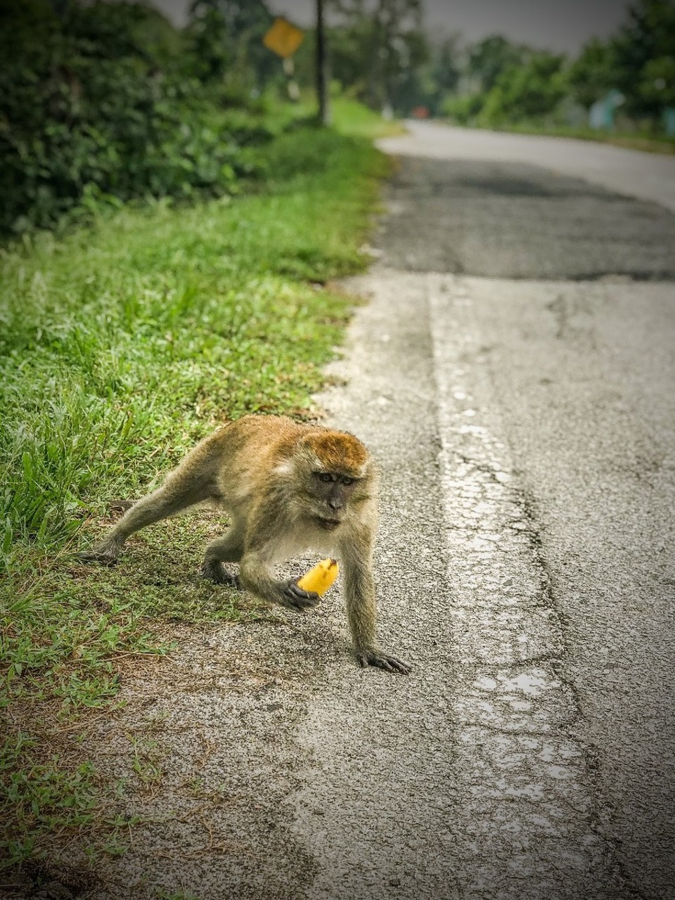 Malaysia - Simpang Empat Semanggol - 