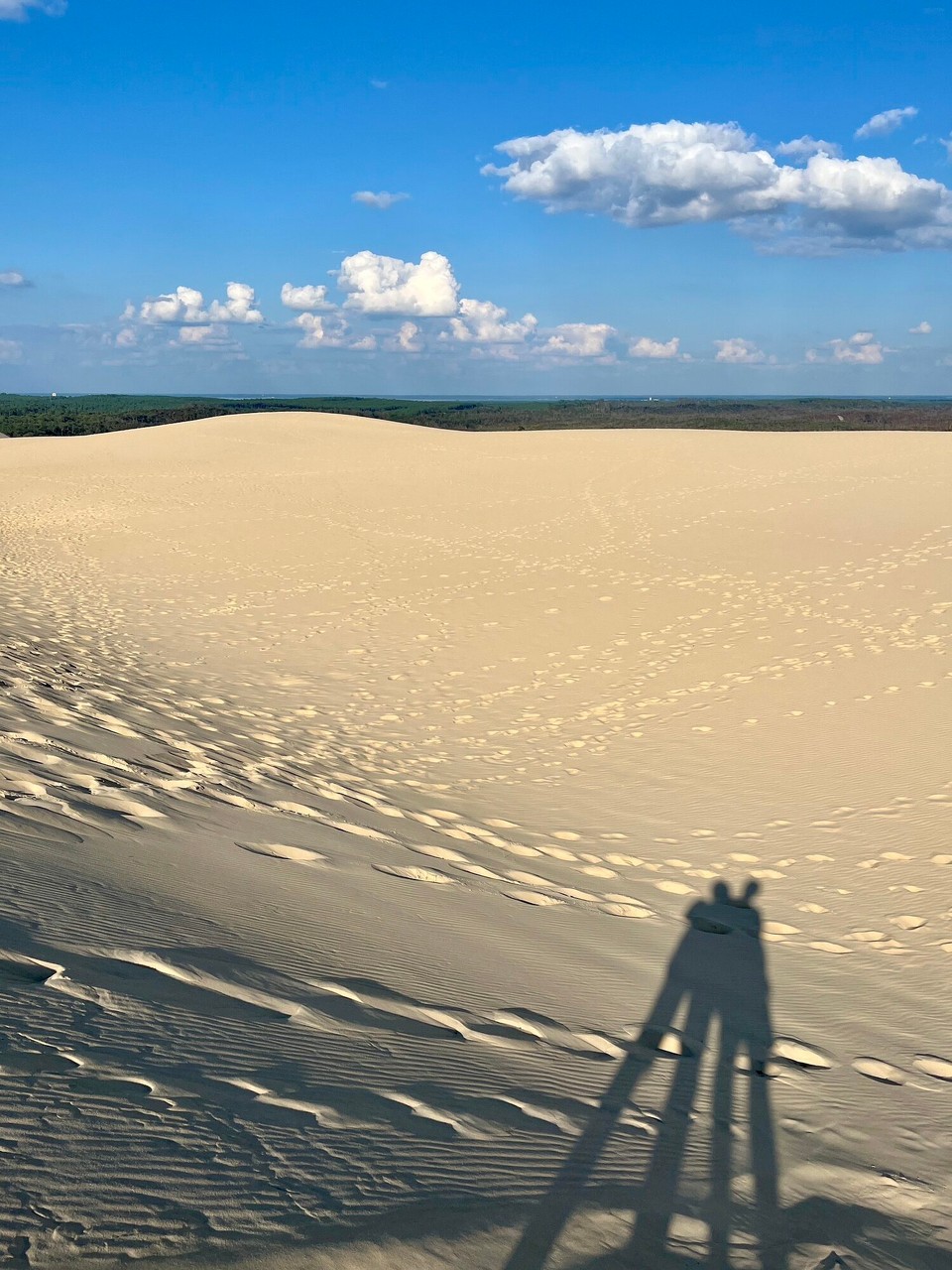 Frankreich - La Teste de Buch - 