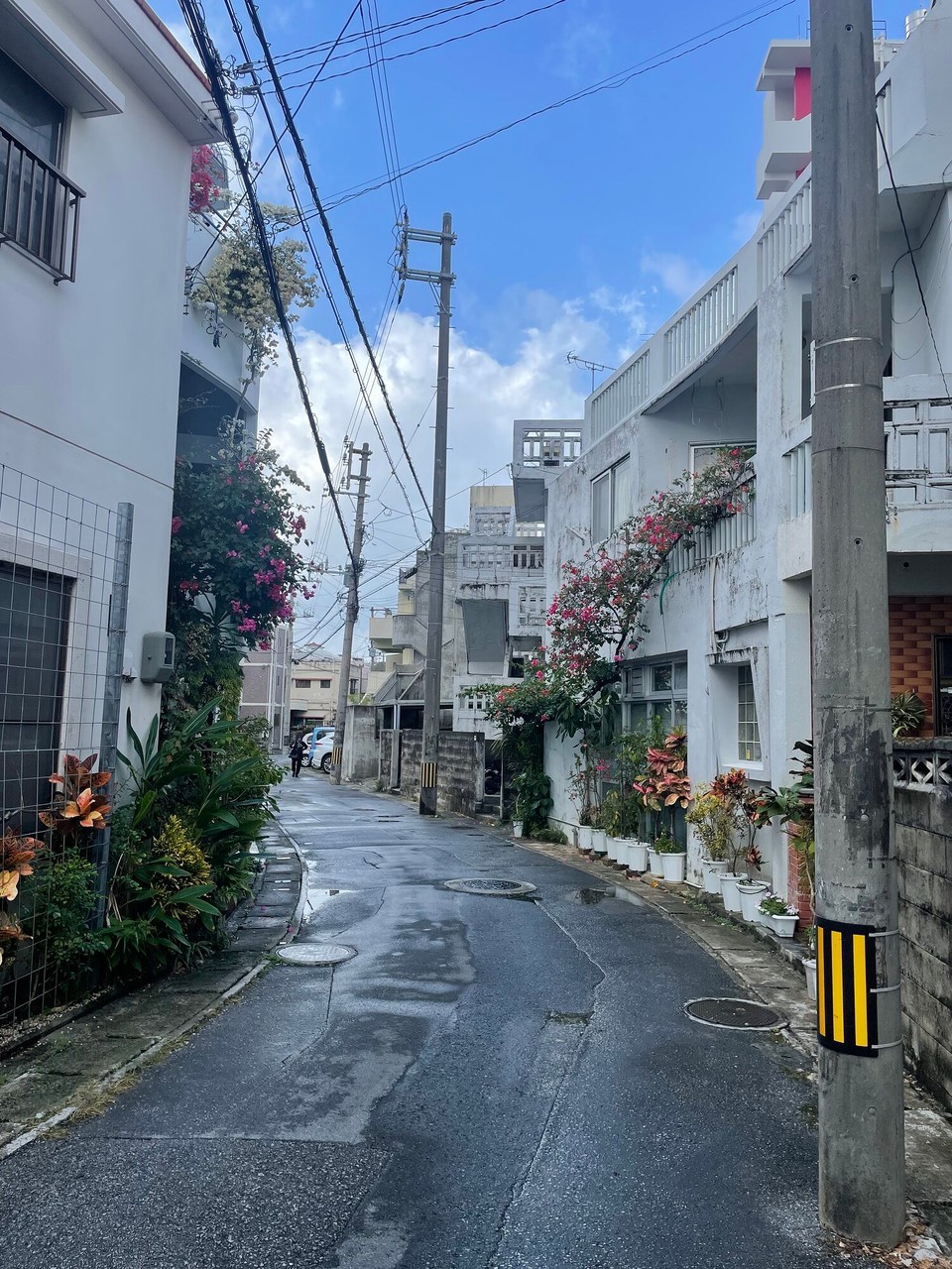 Japan - Okinawa - 