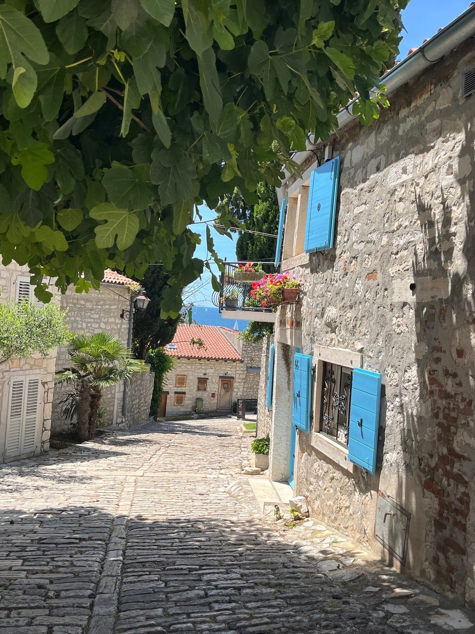 Kroatien - Rovinj - 