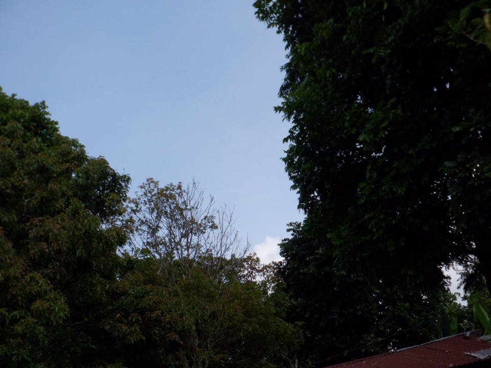Indonesia - Karo - 