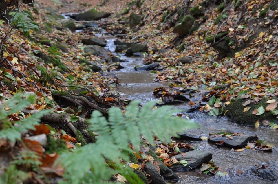 Deutschland - Johannesberg - 