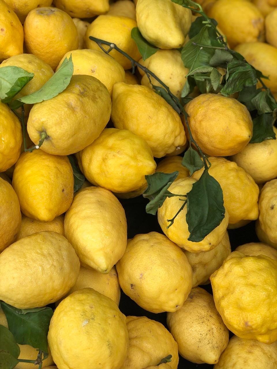 Deutschland - Putbus - 