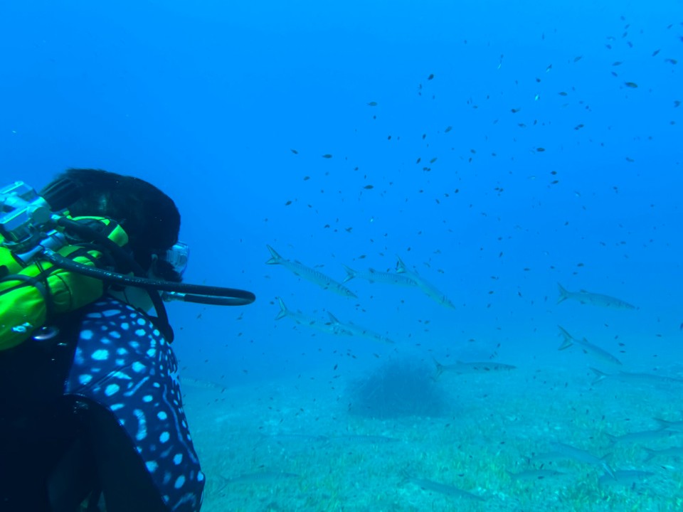 Italien - Capoliveri - 