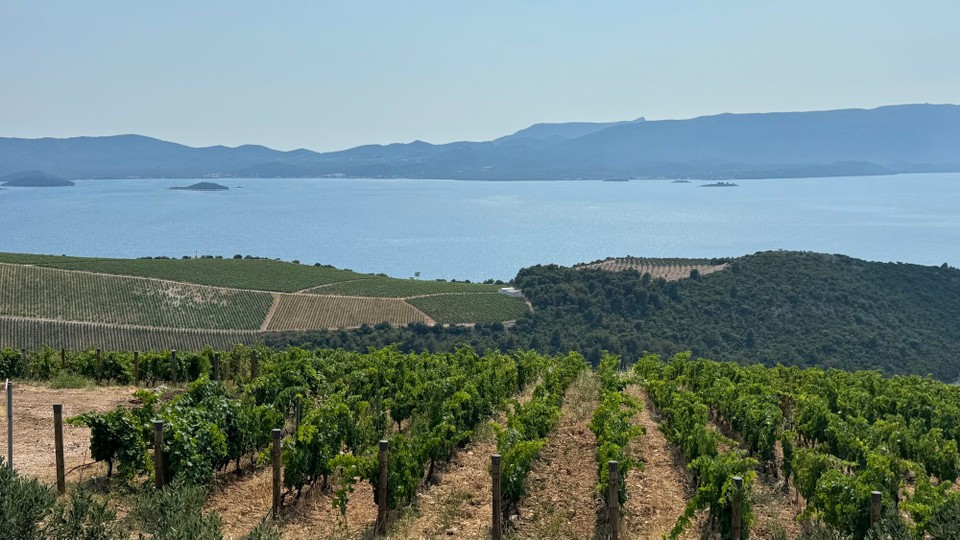 Kroatien - Zaton - Raba, Weinanbaugebiete 