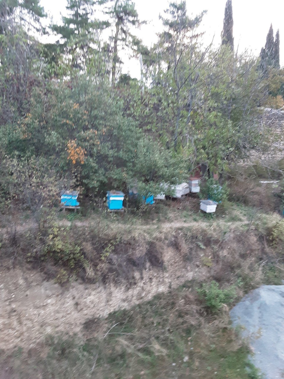 Georgien - Sighnaghi - 