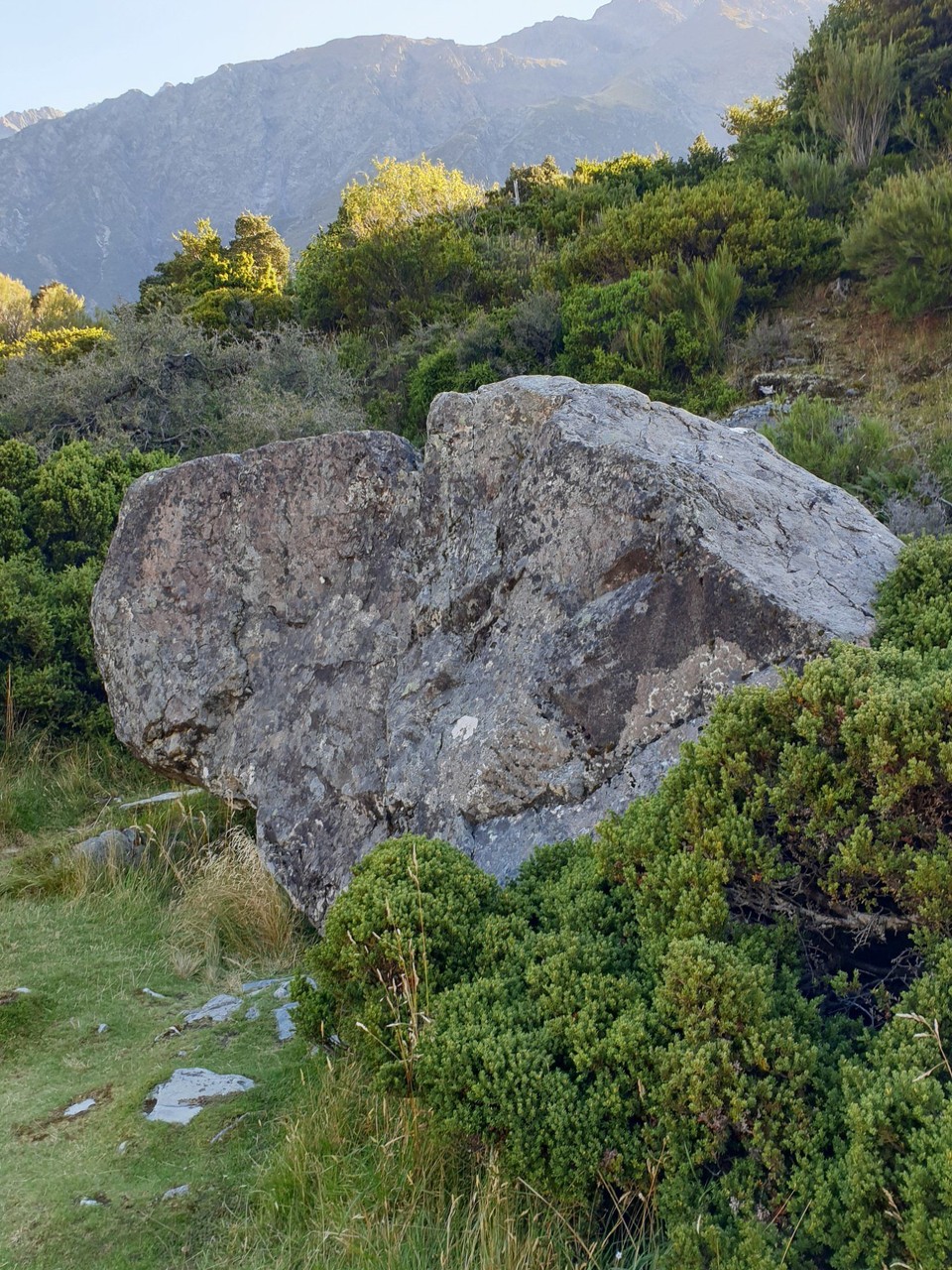 Neuseeland - Aoraki - 