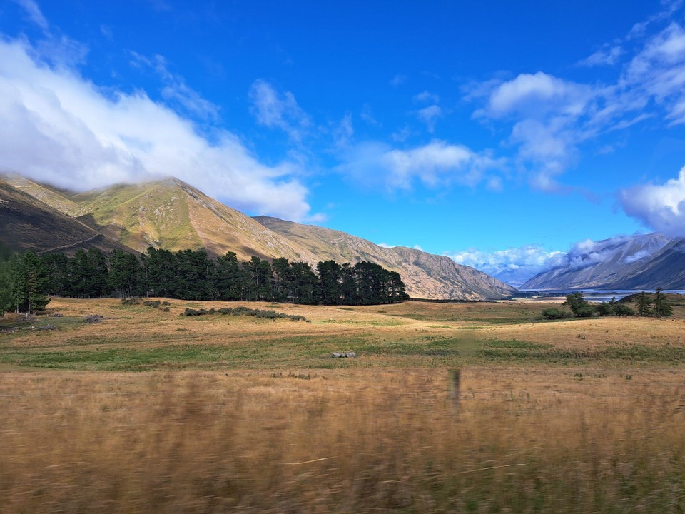 Neuseeland - Peel Forest - 