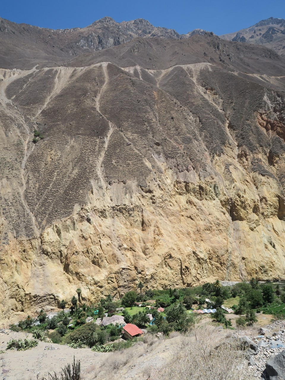 Peru - Cabanaconde District - l'oasis de Sangalle au fond du canyon, très artificielle, pour les touristes : piscines et resort; on passera vite