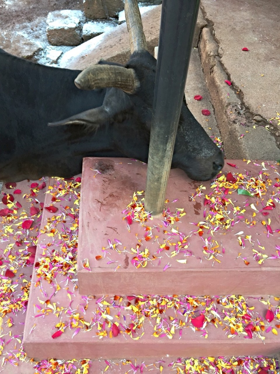 Indien - Gokarna - 