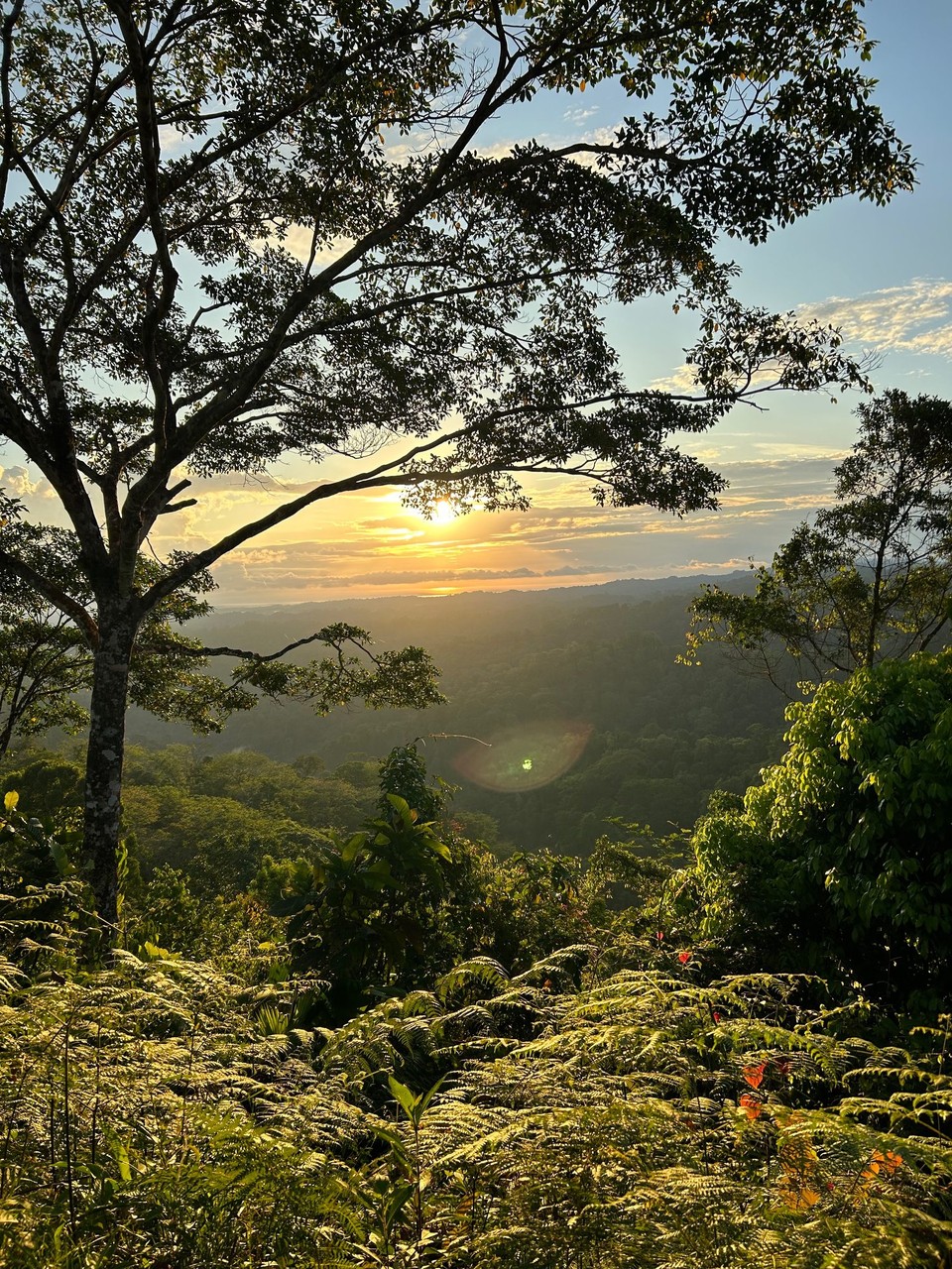 Costa Rica - Nationalpark Corcovado - 