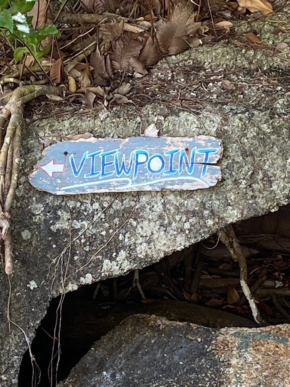 Thailand - Ko Pha-ngan - Den werden wir in den folgenden Tagen noch mal erleben. 