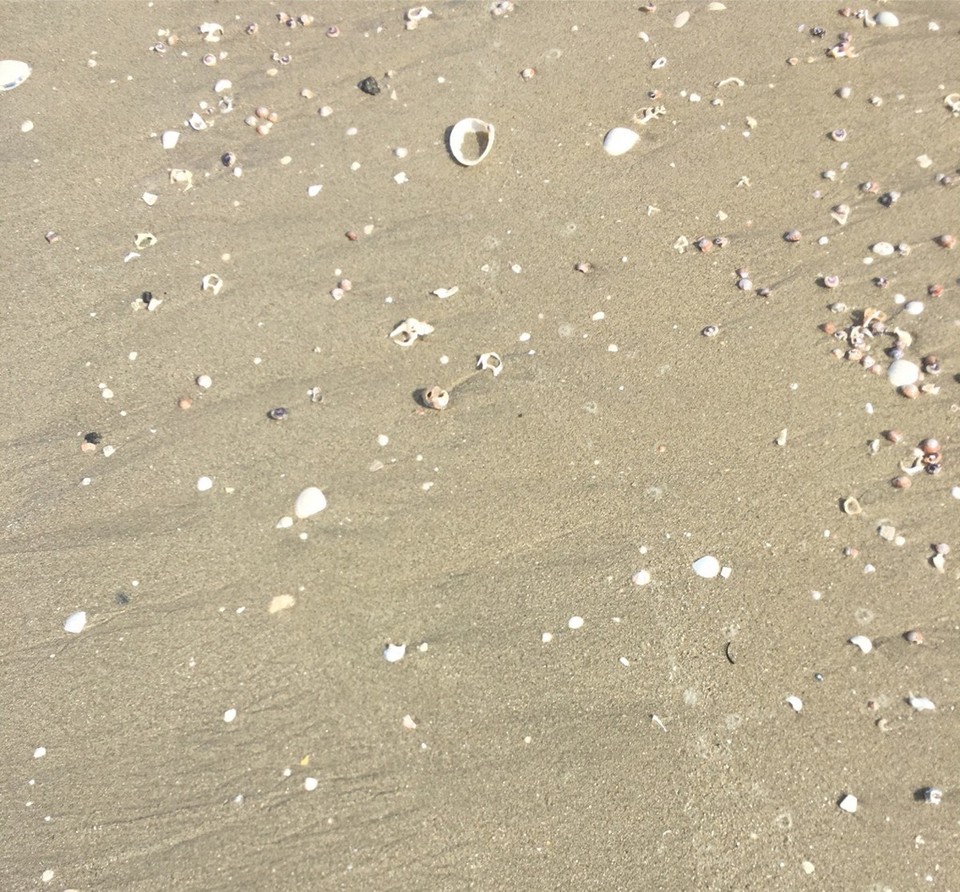 Neuseeland - Papamoa - 