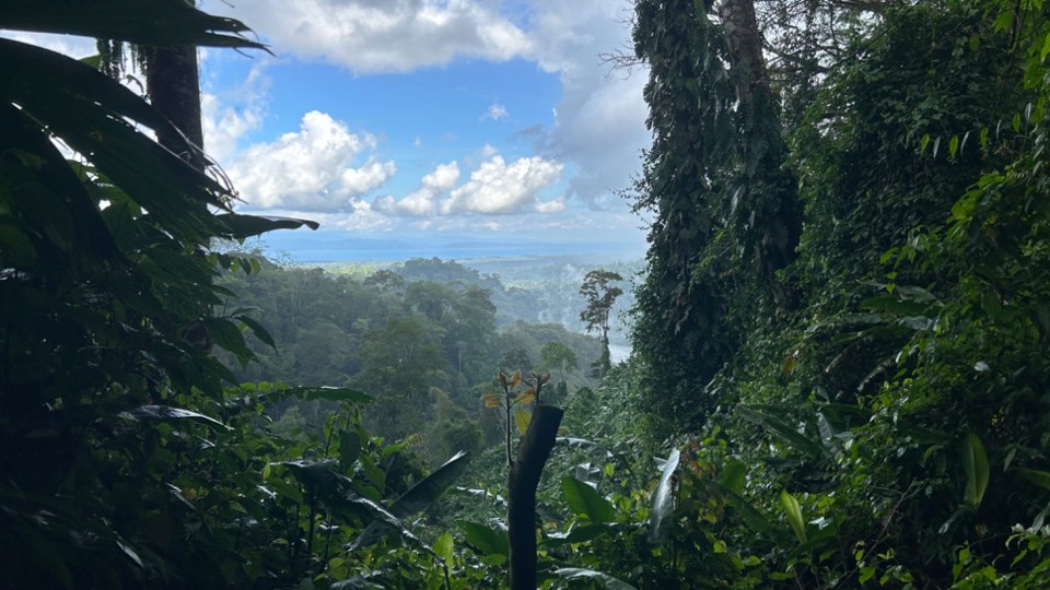 Costa Rica - Nationalpark Corcovado - 