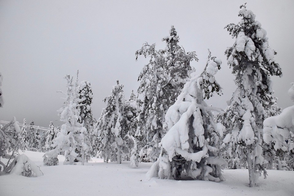 Finnland - Sirkka - Der Schnee ist ca. 1 Meter tief
