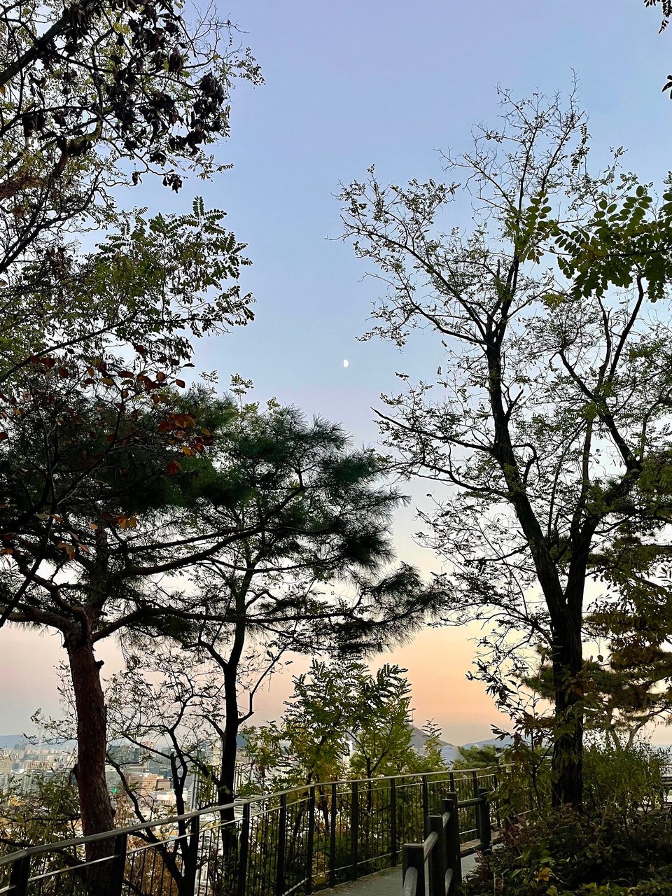 대한민국 - 서울특별시 - 
