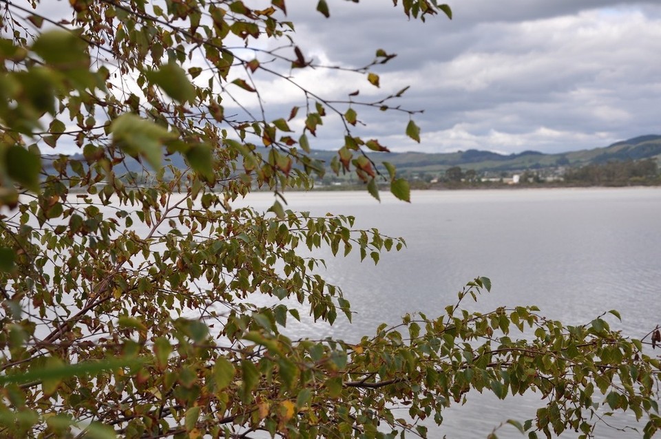 Neuseeland - Papamoa - am Lake Rotorua