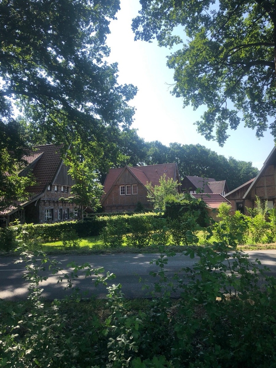 Deutschland - Wildeshausen - Dto 