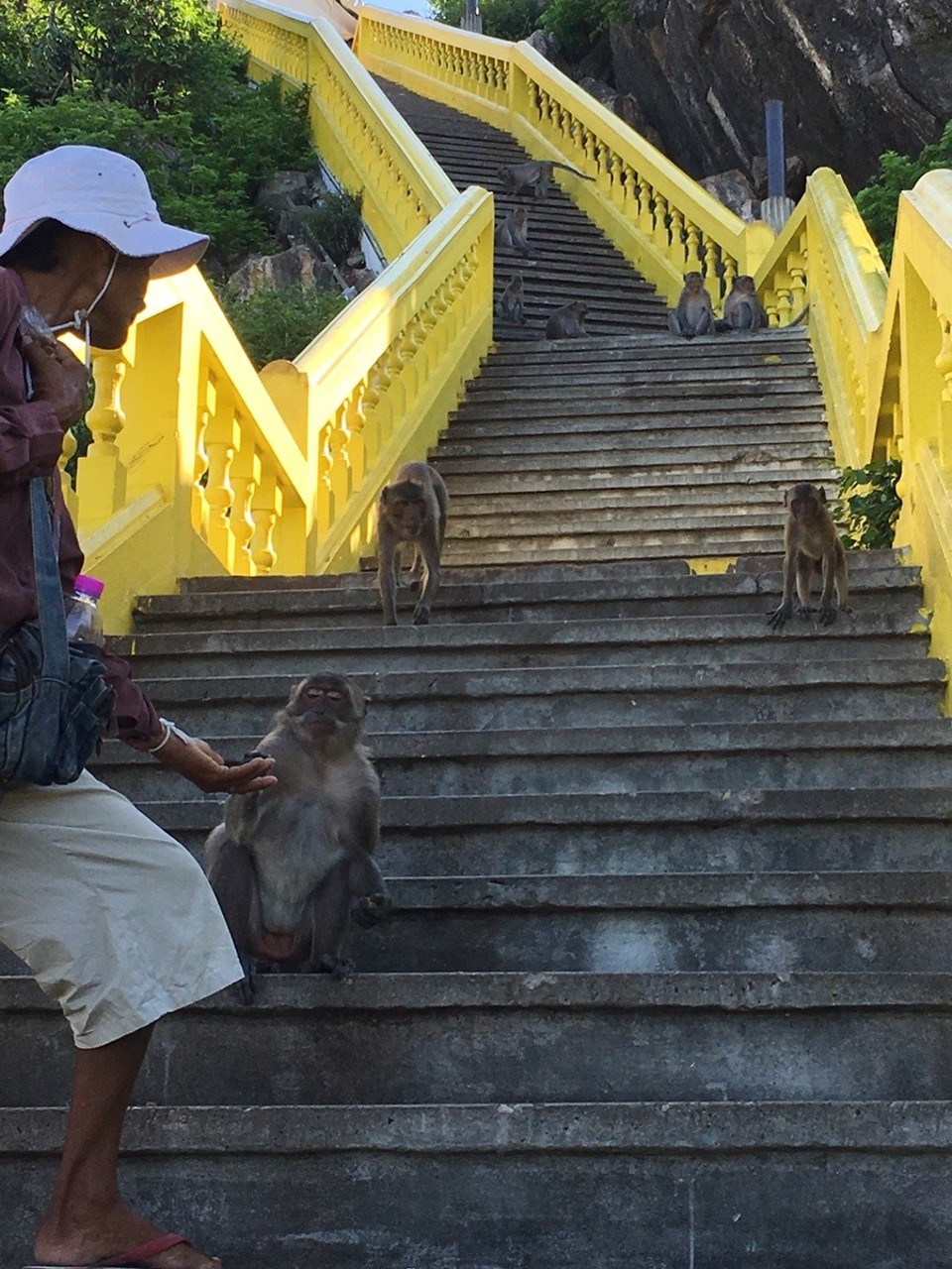 Thailand - Amphoe Sam Roi Yot - 
