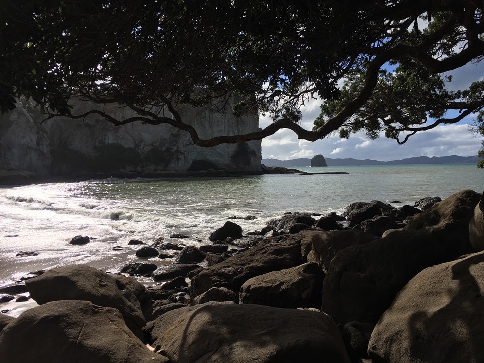 Neuseeland - Coroglen - Stingray beach 