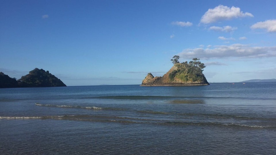 New Zealand - Whangapoua - 