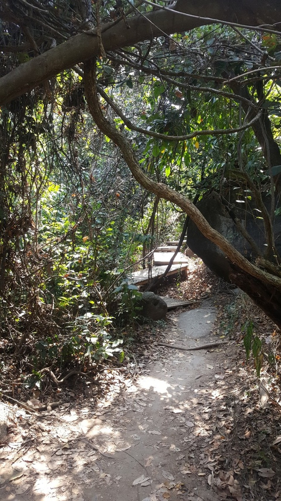 Kolumbien - Parque Nacional Natural Tayrona - Gegen 10:00 Uhr erreichte ich den Eingang des Tayrona Nationalparks. Um einen guten Schlafplatz zu bekommen, muss man früh da sein. Jeder versucht einen guten Platz - idealerweise in einer Hängematte - zu bekommen. Ich hatte Glueck :-) 
