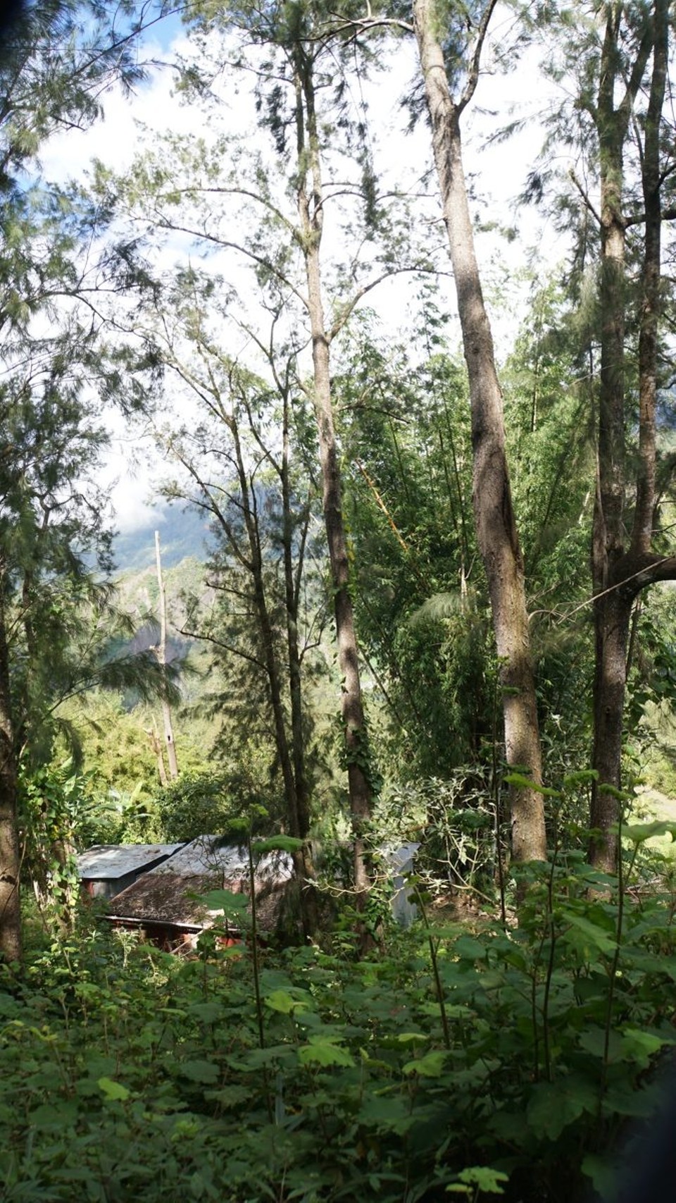 Réunion - Salazie - Bauernhütte