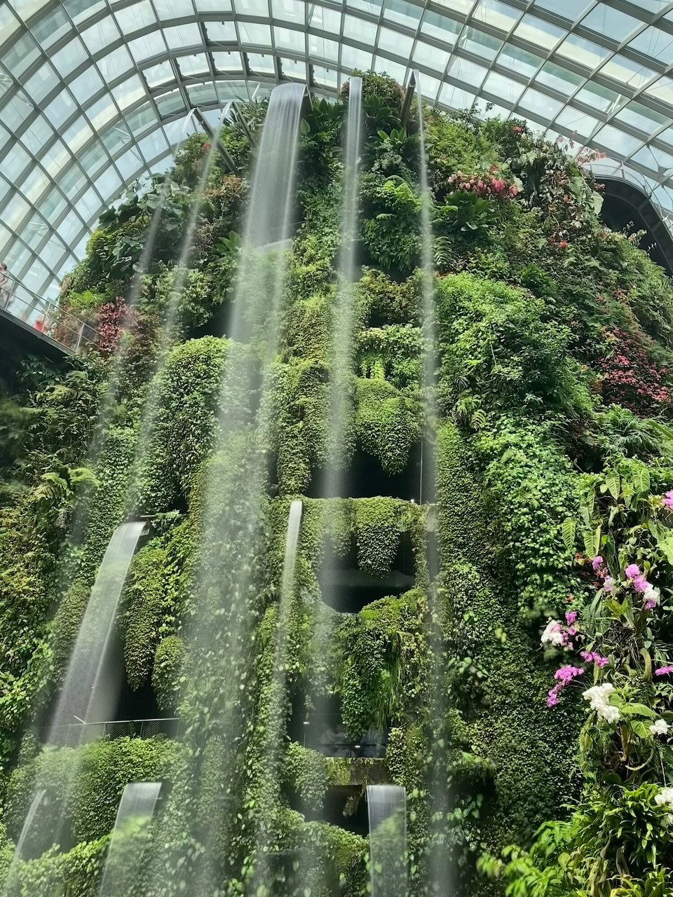 Singapur - Singapur - Cloud Forest