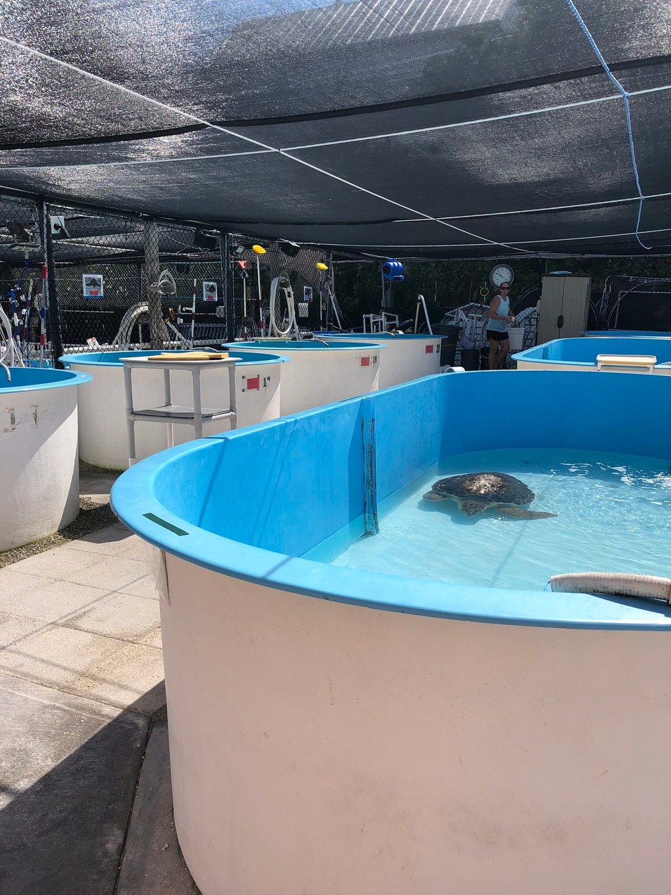 Vereinigte Staaten - Key West - 