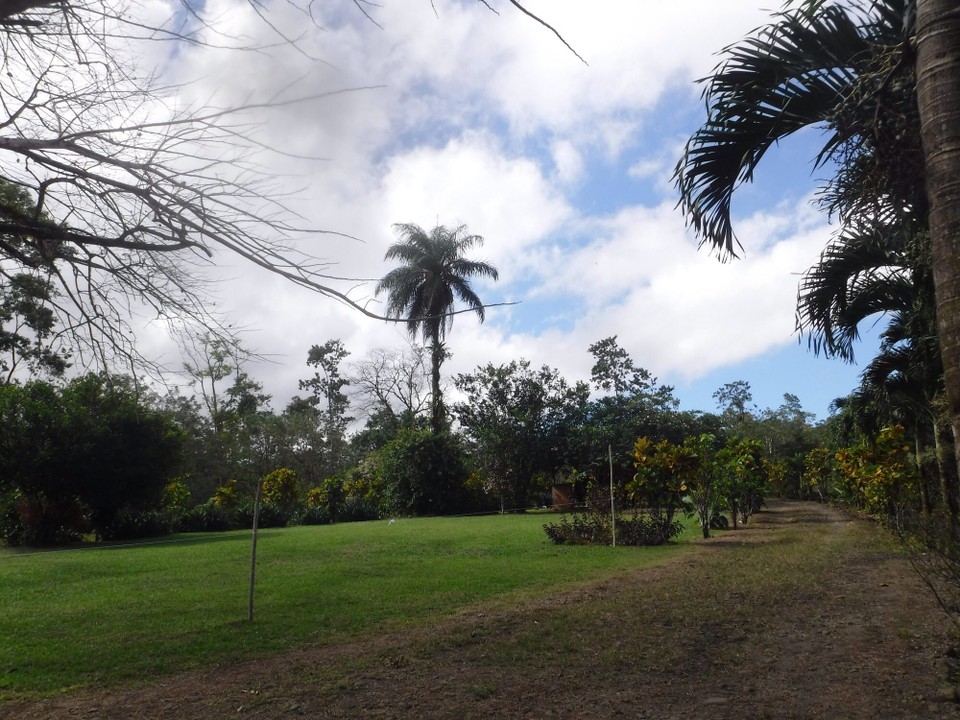Costa Rica - Liberia - 