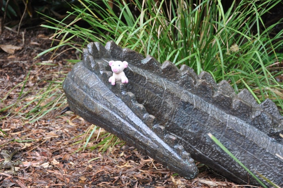 Australien - Noosa Heads - 