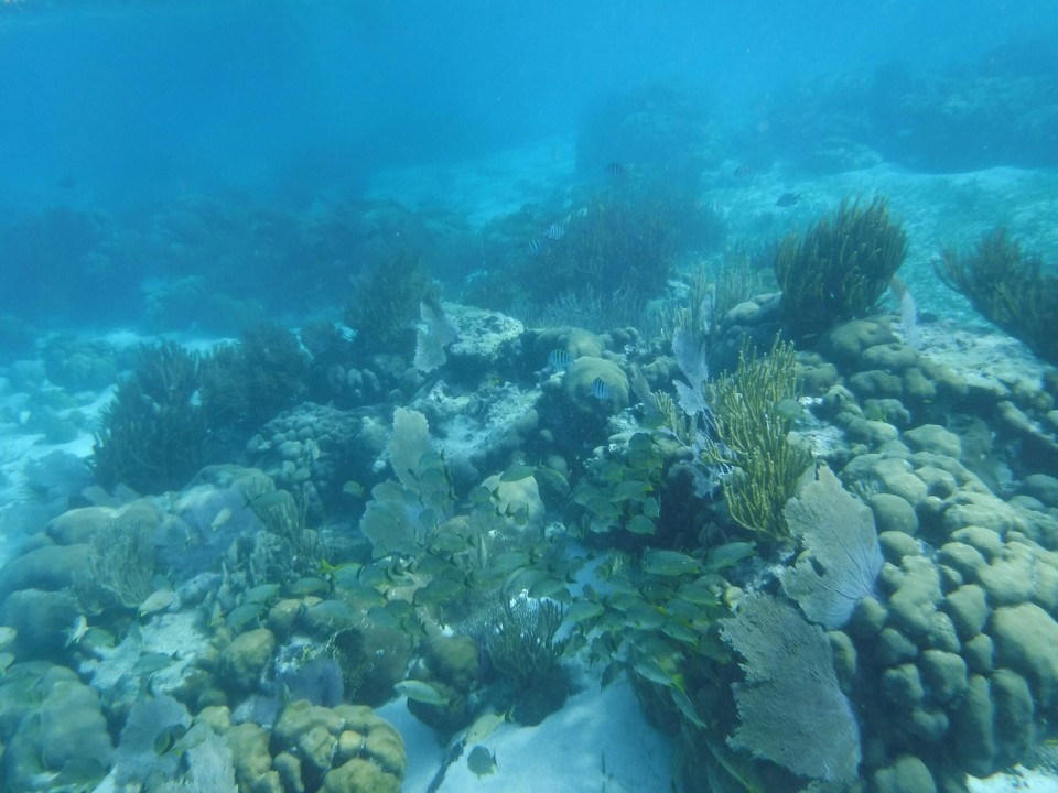 Belize -  - 