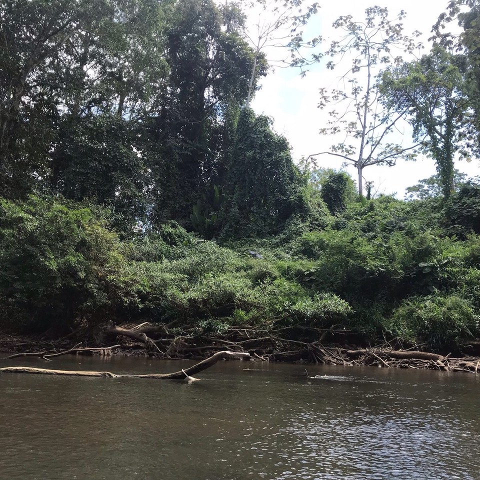 Costa Rica - Paraiso - 