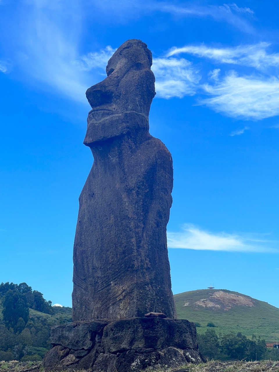 Chile - Easter Island - Single Moai in the middle of nowhere- if you look closely you can see all the concrete repairs