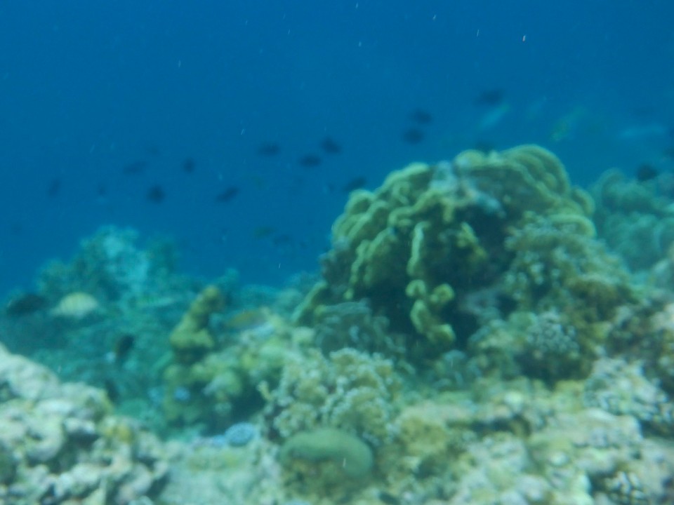 Indonesia - Kabupaten Wakatobi - 