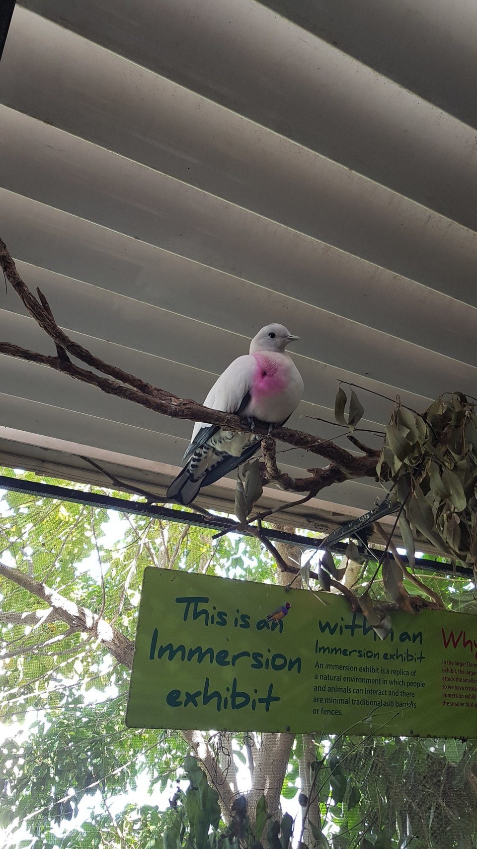 Australia - Cairns - 