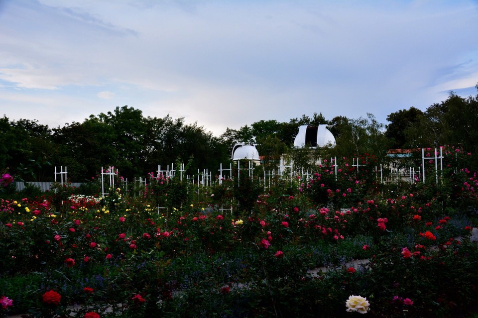 Tschechische Republik - Prag - Rosengarten in Prag
