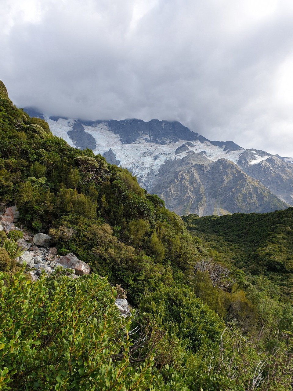 Neuseeland - Aoraki - 