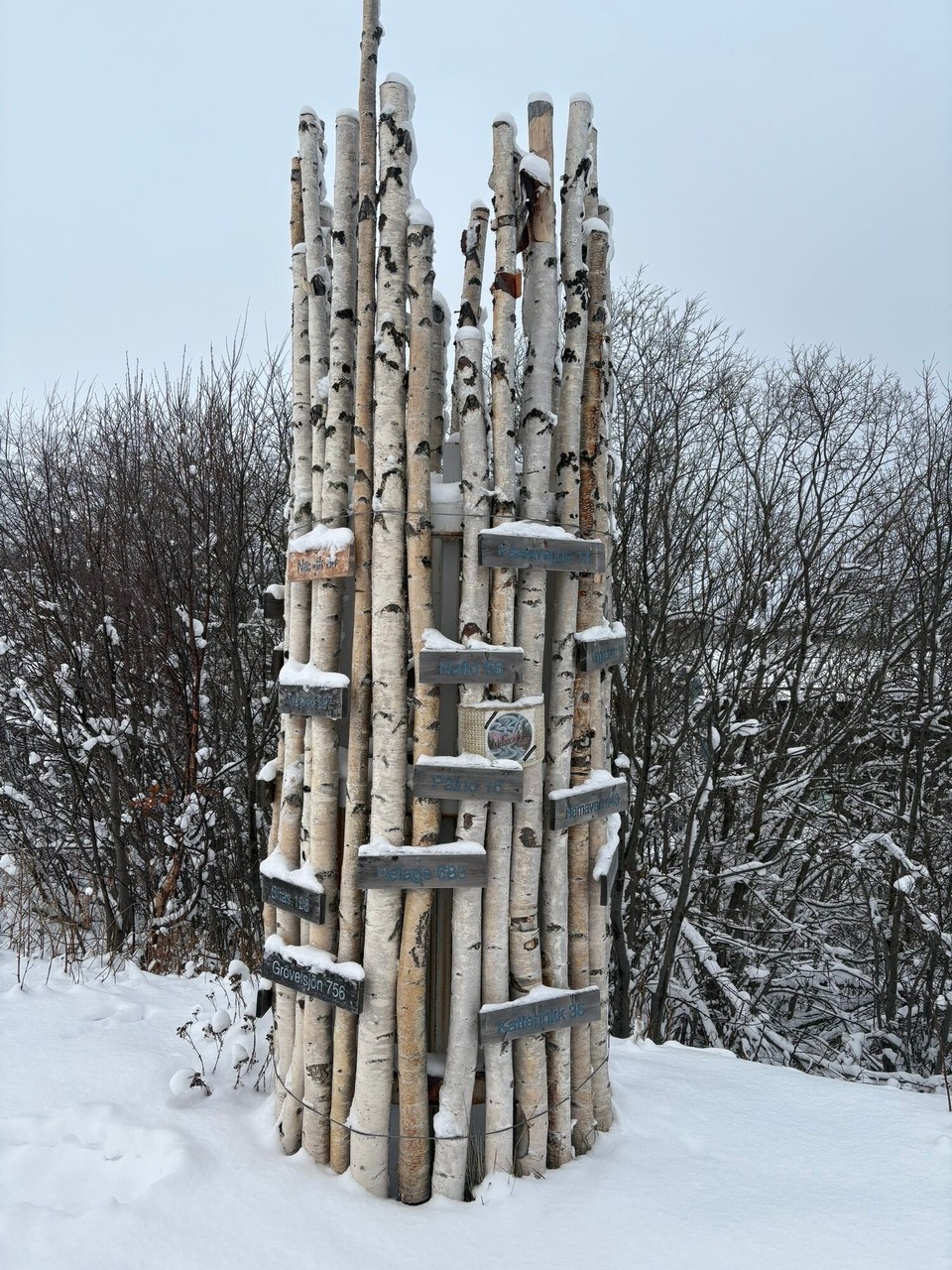 Schweden - Abisko - Abisko Nationalpark 
