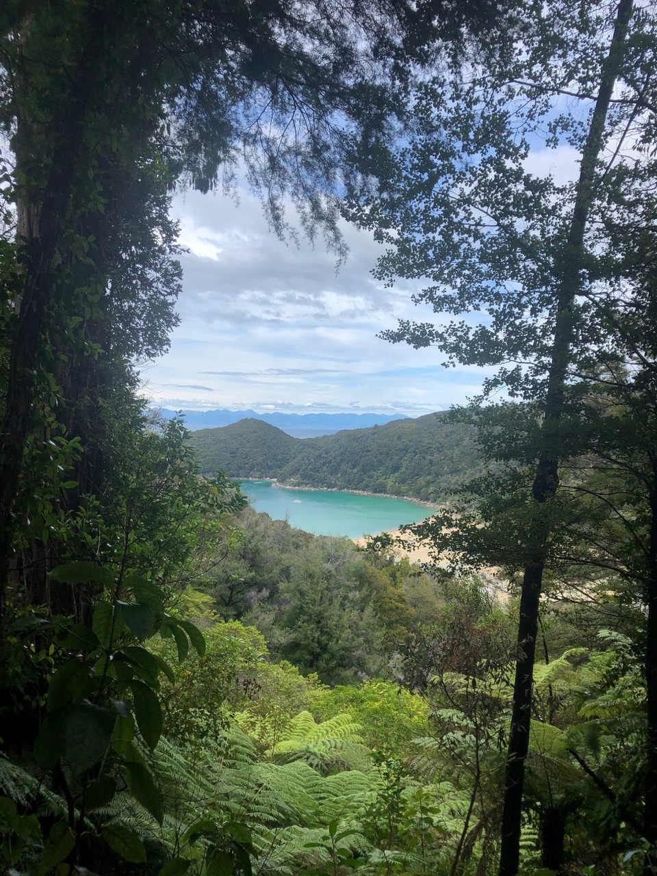 Neuseeland - South Island - Zu Fuss unterwegs von der Bark Bay nach Onetahiti