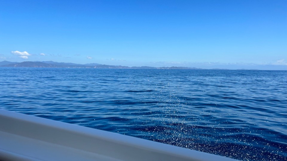 Costa Rica - Santa Fe - 