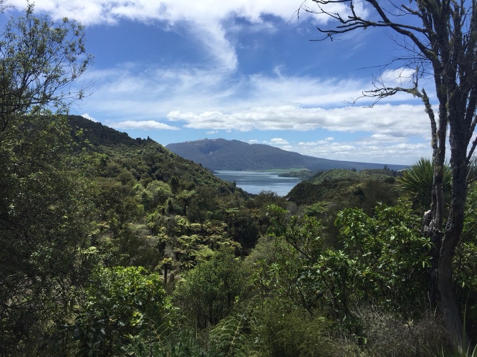  - Neuseeland, Waimangu, Waimangu Volcanic Valley - 